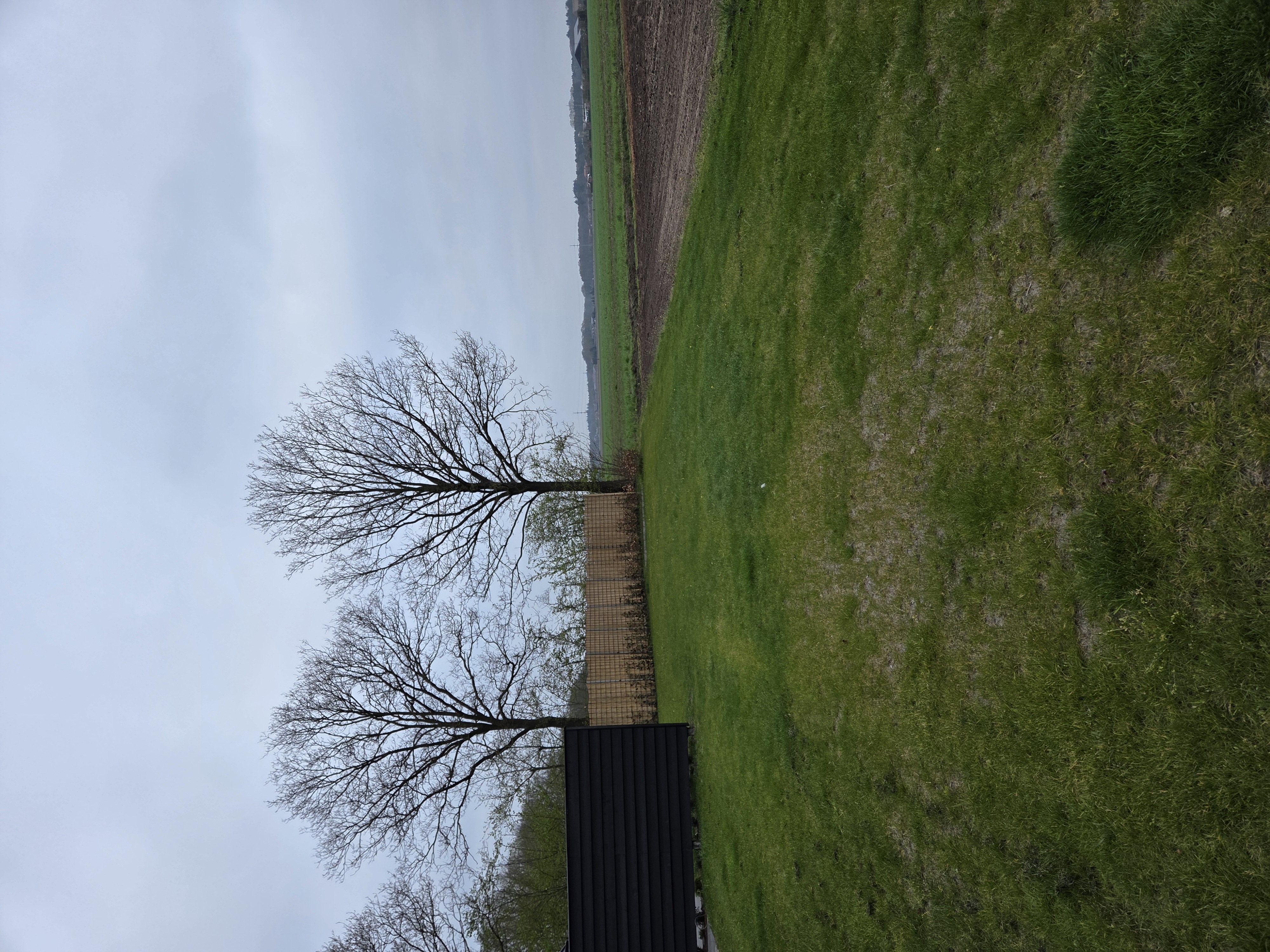 Tuin voor werk en ontspanning