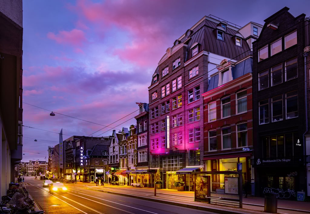 The Albus hotel