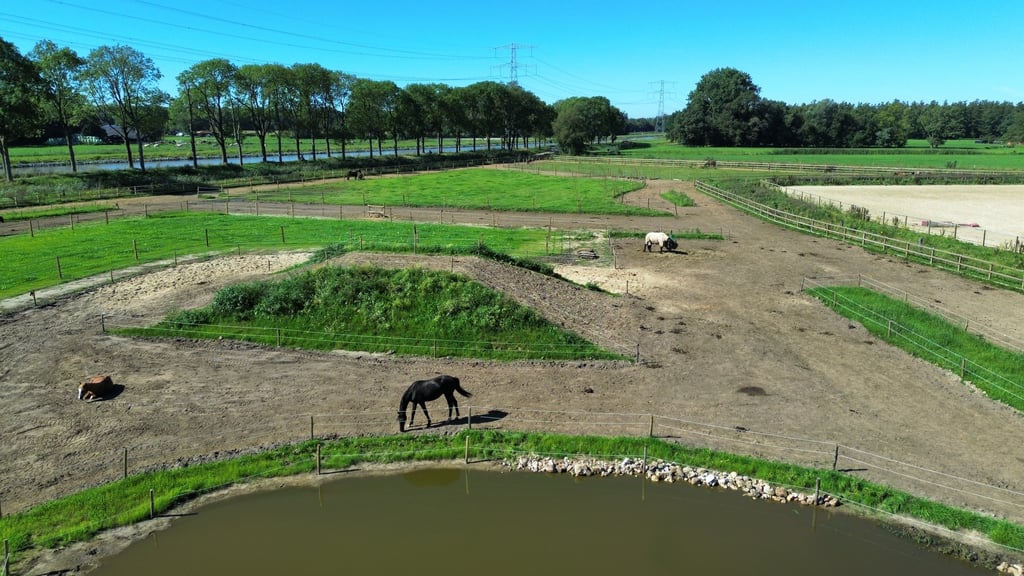 Unieke natuurlijke leefomgeving van paarden