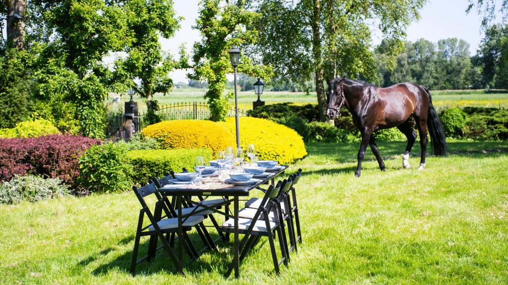 Eten in de buitenlucht