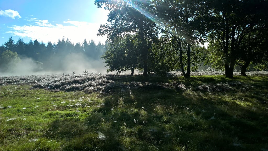 The Lodge is surrounded by nature