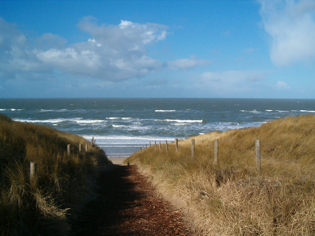 Strand Castricum op 3,5km van Hotel Huize Koningsbosch