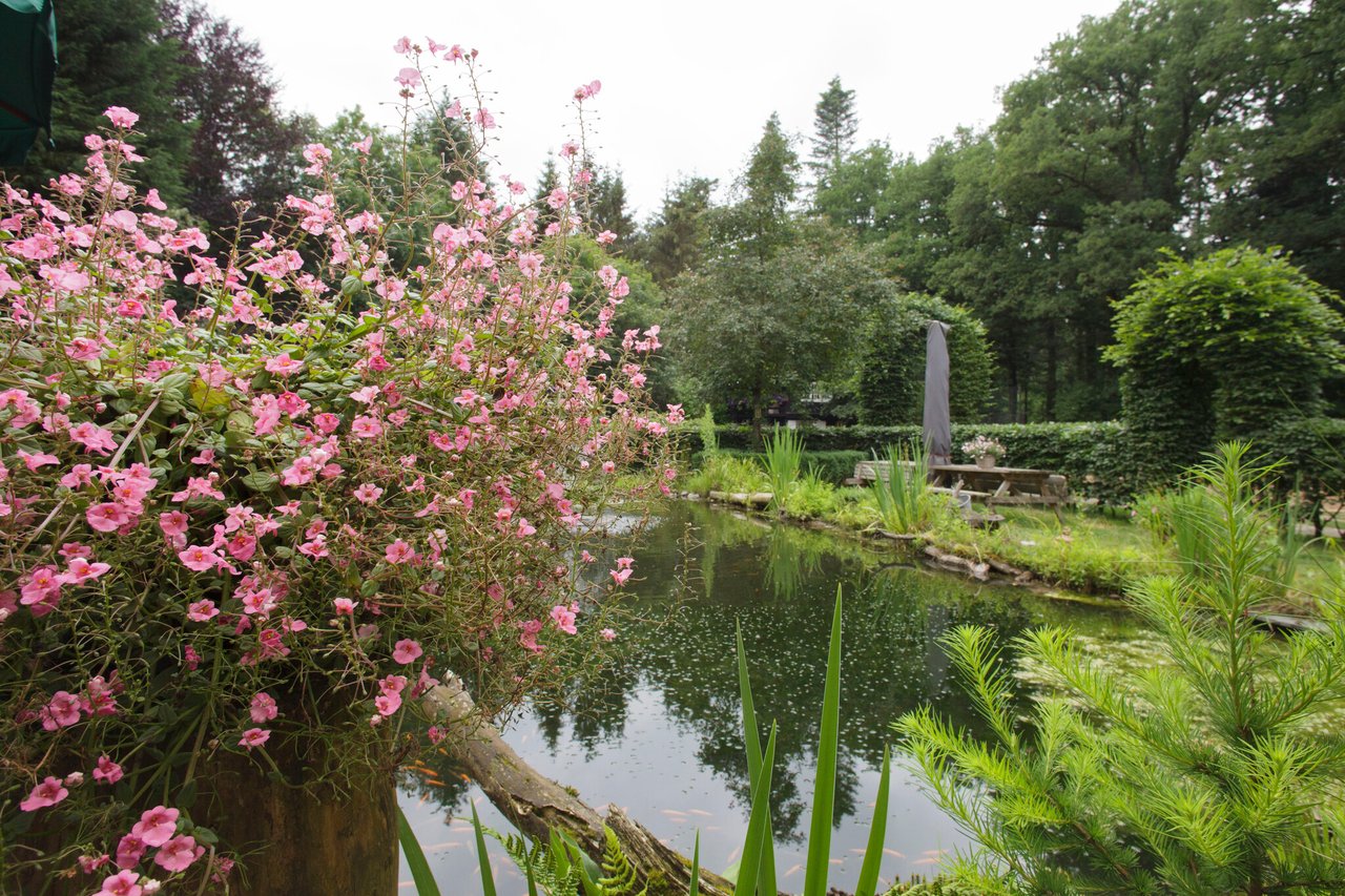 landschapstuin