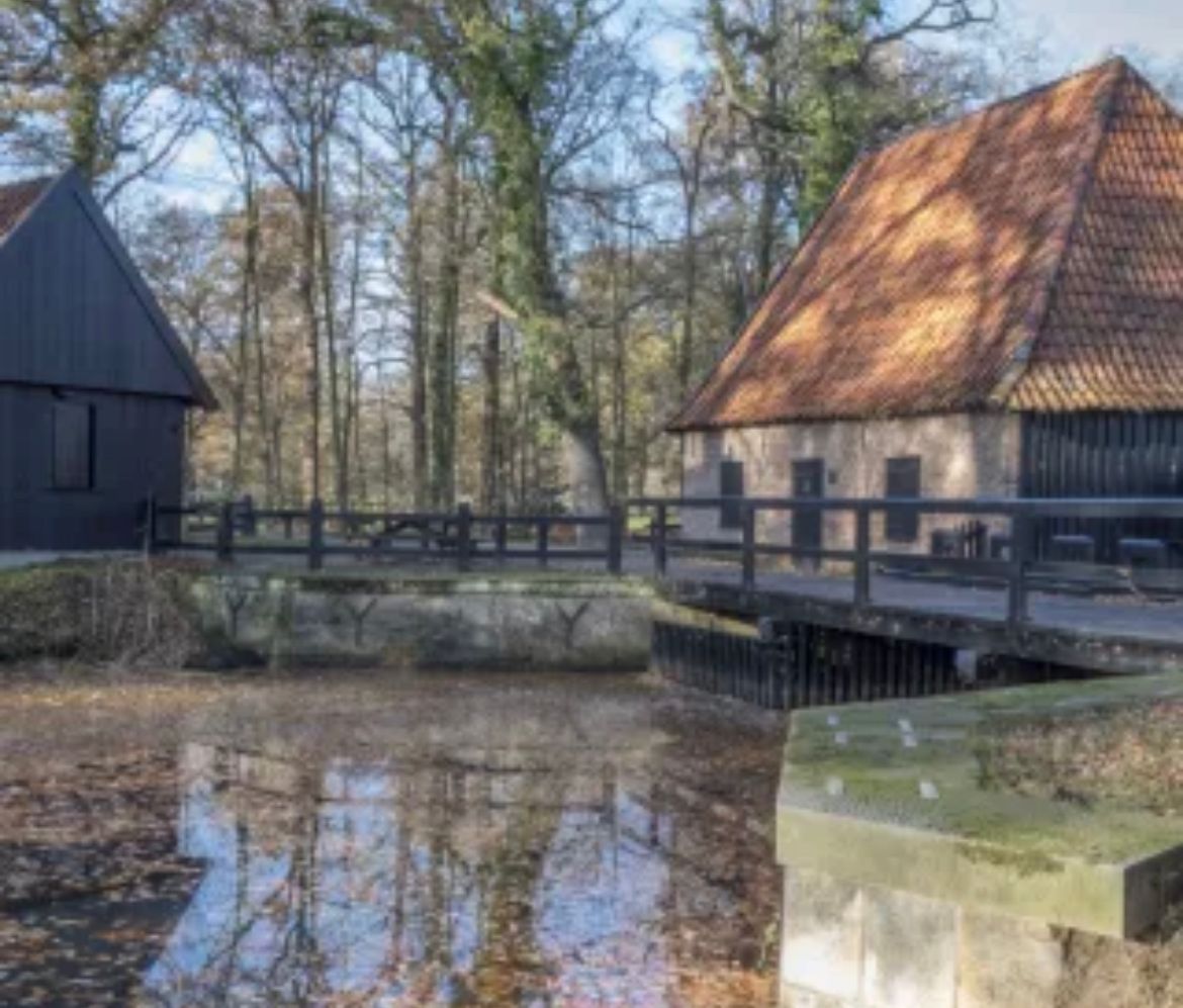 Waterrad op het landgoed Twickel 